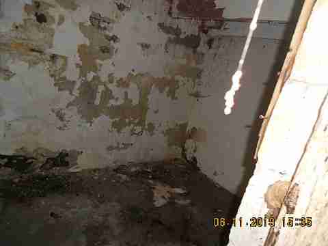 18665 Helen (25)_m.jpg